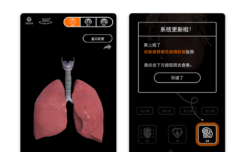 阿斯利康3D心肺展示